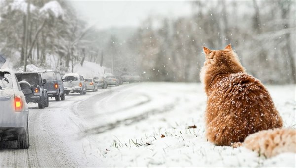 Як використати морозну погоду в Україні з користю для себе