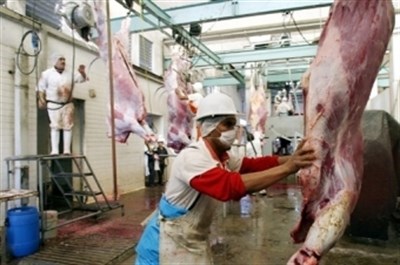 Горловский мясокомбинат, входящий в пятерку крупнейших производителей,  законсервирован на время боевых действий 
