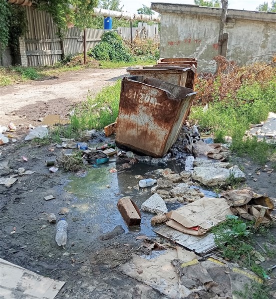 Черно-белый список Горловка: нашествие крыс, заросли амброзии, стая собак у больницы. сгнившие баки