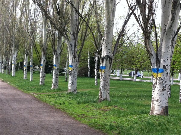 На центральной улице Горловки – проспекте Победы появилась украинская аллея (ФОТОФАКТ)