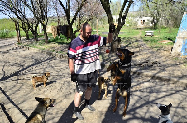 Экскурсия в Батмановку в приют для бездомных животных: собака-отшельник, далматин Босс и энтузиазм волонтеров (ФОТОРЕПОРТАЖ)