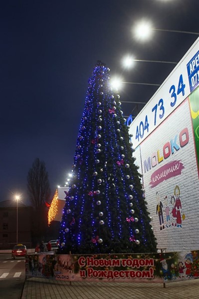 В Горловке возле ТЦ "Геркулес-Moloko" появилась первая новогодняя елка: фото 