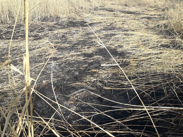 Экологическая катастрофа в Горловке: из-за шахтного газа из выработок горит и проседает почва