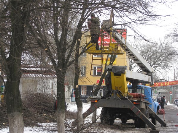 Посреди зимы в Горловке кронируют деревья. В КП «Простор» утверждают, что по науке так правильно 