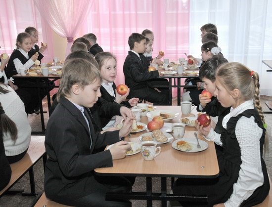 В детсады и школы снова привезут яблоки Шишацкого: на витамины выделено более 217 тысяч гривен