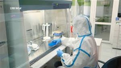 За сутки в "ДНР" 21 новый случай коронавируса. Всего зарегистрировано 854 заболевших