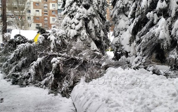 В Горловке снегопад. Не ходит транспорт, сломаны деревья и крыши домов (ФОТО)
