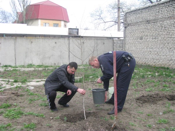 Горловские милиционеры вышли на субботник: возле ЛО на станции Никитовка посадили саженцы березы 
