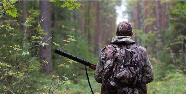 Безопасная охота в лесу