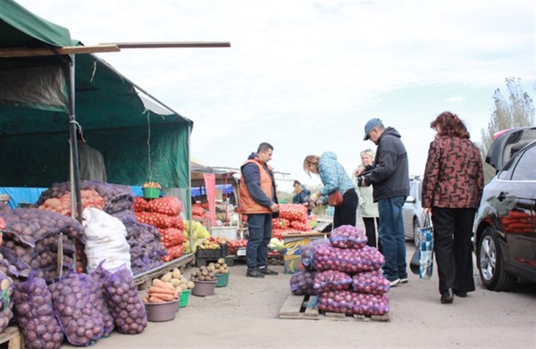 Картофельный бизнес: почему выросла цена на этот продукт в "ДНР" и кто виноват