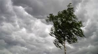 На оккупированных территориях синоптики сообщили о сильных порывах ветра