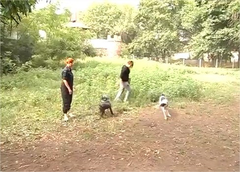 Владельцы собак просят мэра Горловки выделить новое место для вольера (ВИДЕО)