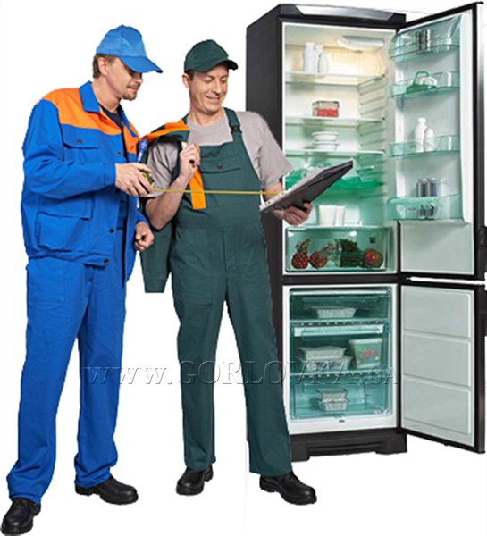 Ремонт холодильника доверьте профессионалам 