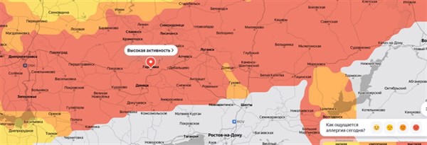 В Горловке - высокий уровень пыльцы берёзы. Как обезопасить себя, если у вас аллергия