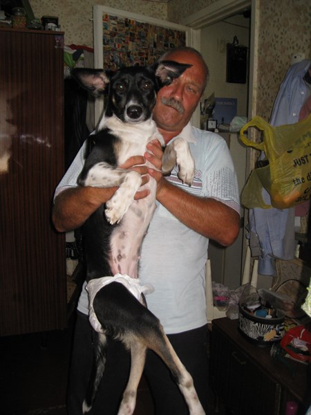 Портрет горожанина: горловский пенсионер Сергей Щербак приютил собаку-инвалида, в которую стреляли из ружья ради забавы