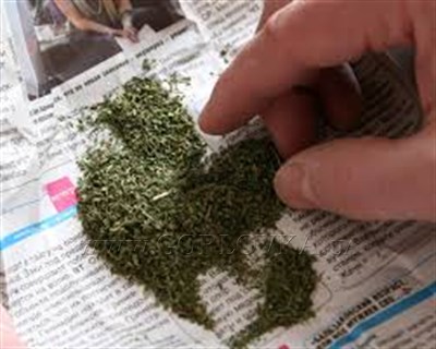 В Горловку под видом сушеного перца пытались пронести марихуану через линию разграничения