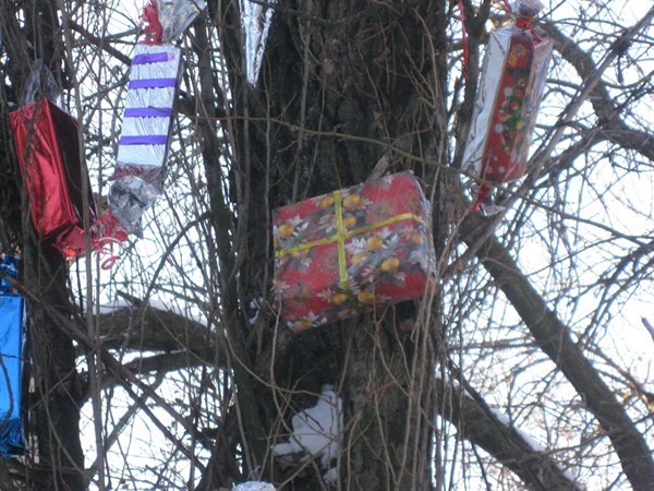 В Горловке на тополях и елях развесили новогодние подарки (ФОТОФАКТ)