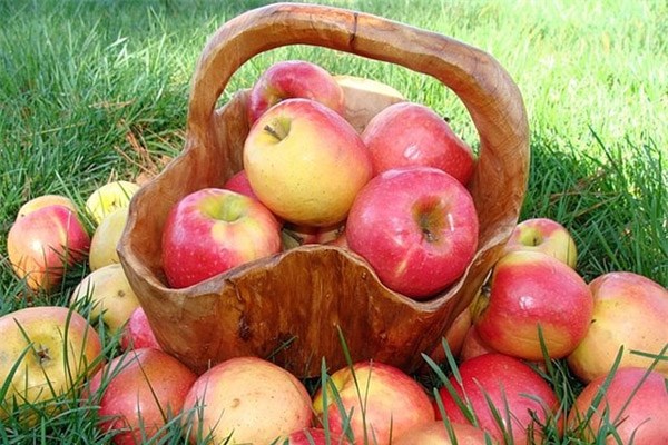 Горловчан приглашают на выставку-ярмарку «Яблочный спас»