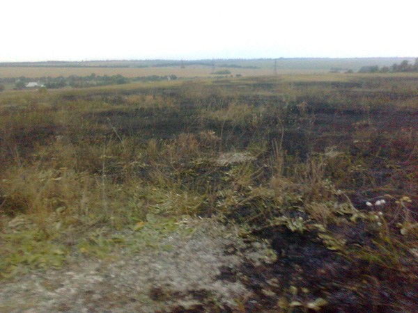 В поселке Озеряновка неизвестные подожгли поле с сухой травой