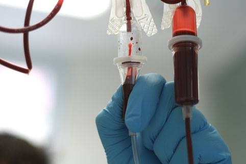 Gorlovka.ua обращает внимание: отделение детской онкогематологии нуждается в донорах с редкой группой крови – второй отрицательной