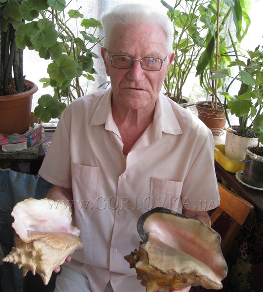 Портрет горожанина: горловчанин Александр Дениченко собрал солидную коллекцию морских раковин