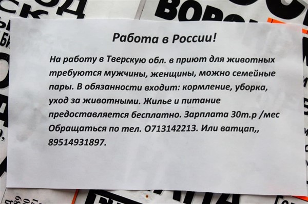В Горловке ищут рабочих в приют для животных Тверской области. Зарплата – 30 тысяч  
