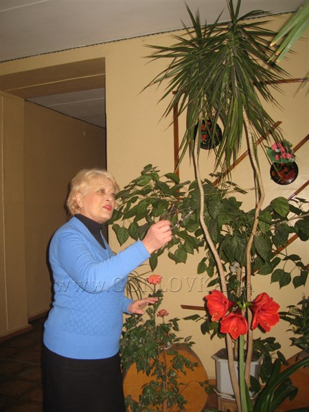 «Зимний сад - круглый год»: в горловской школе № 16 создали оранжерею цветов. Лилии и пальмы можно увидеть даже в уборной (ФОТОФАКТ)