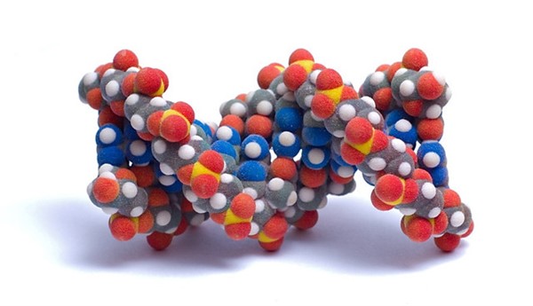 Аминокислоты: как они работают в организме и что нужно о них знать 