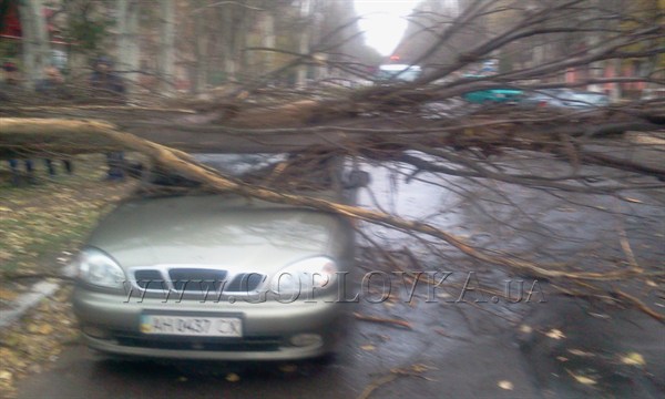 «Ничего себе за хлебушком сходил»: упавшее дерево на улице Комсомольской едва не убило водителя «Ланоса» (фото)