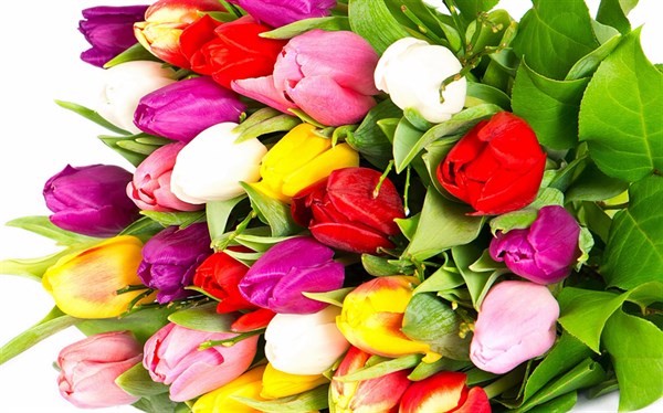 Доставка цветов – подарите радость любимому человеку