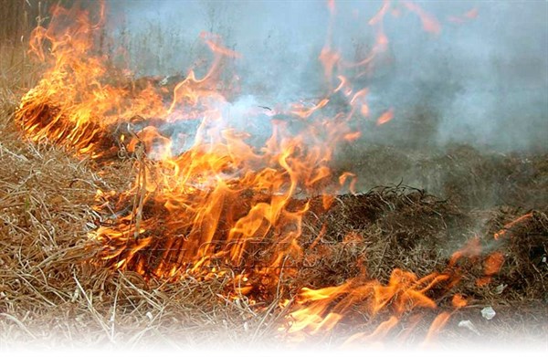 Причины для паники нет: "Стирол" не горит, возгорание травы произошло за пределами предприятия