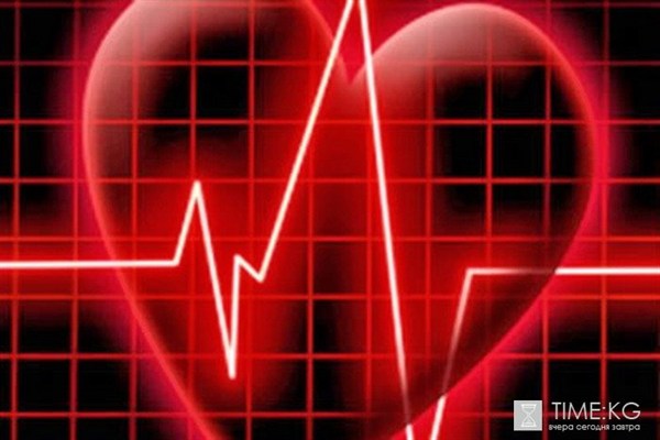Медики проверят, как бьются сердца горловчан 