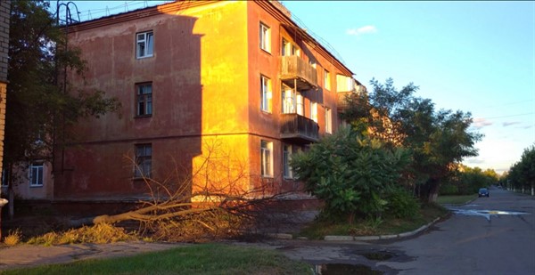 В Горловке по улице Рудакова рухнули деревья