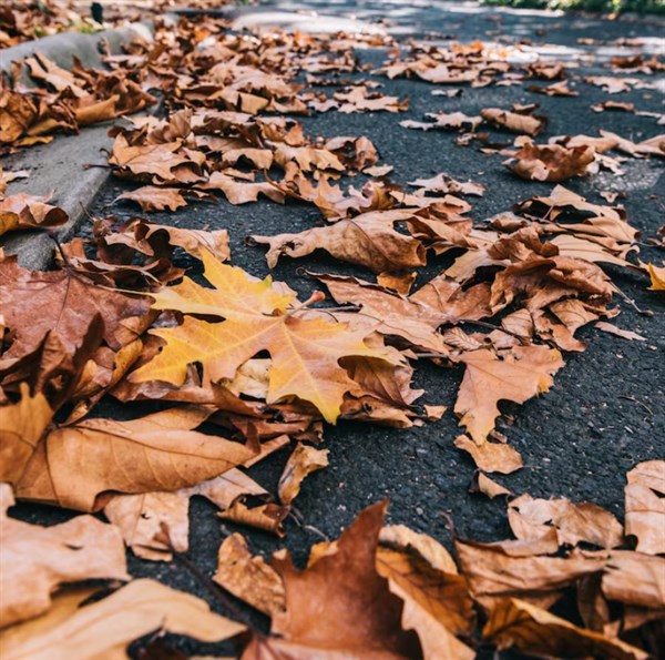 Погода в Україні на 14 листопада: очікується теплий день. Але незабаром похолодання 