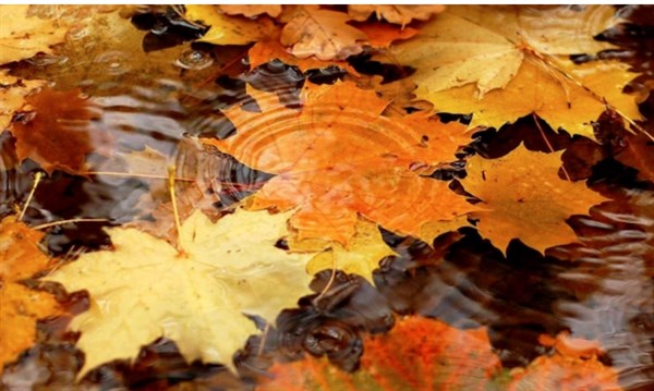 Погода в Украине на 30 октября: синоптики обещают сухую погоду без осадков