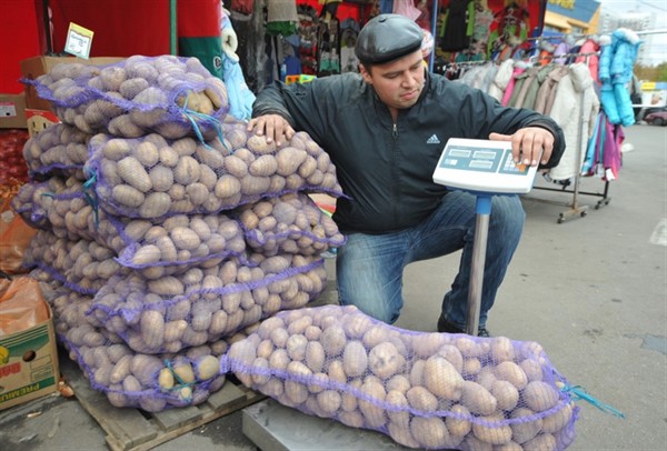 Купить картошку в Горловке и Донецке: продавцы рассказали, когда выгодно делать запасы по низкой цене 