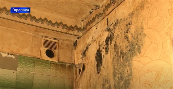В Горловке в некоторых домах текут крыши: на стенах в квартирах появились черные грибы
