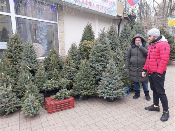 В Донецке подорожали елки. За сосну просят две тысячи рублей