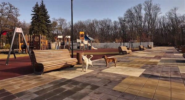  Реконструкция парка имени Горького в Горловке: видео о том, что уже сделано 