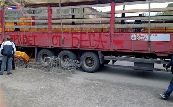 «Привет от Беса»? Боевики разграбили все птицеводческие предприятия в зоне АТО, чтобы горловчанам выдать по две курицы в руки 