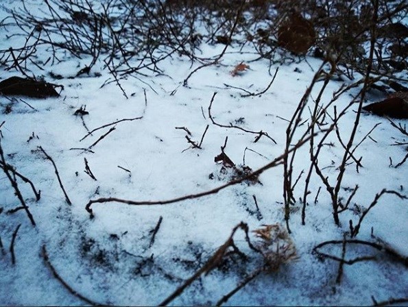 Горловчане радуются первому снегу (ФОТОРЕПОРТАЖ)