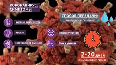В «ДНР» рассказали, куда обращаться при первых симптомах коронавируса