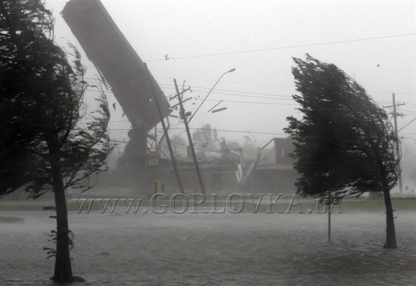 Полгода плохая погода: в Горловке ураганный ветер вырывал деревья с корнем и рвал линии электропередач. ВИДЕО ПОСЛЕДСТВИЙ