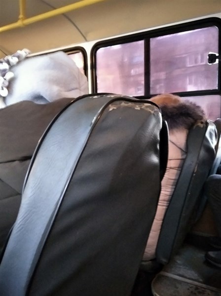Горловские автобусы: житель показал их состояние - порваны сиденья и протерты спинки