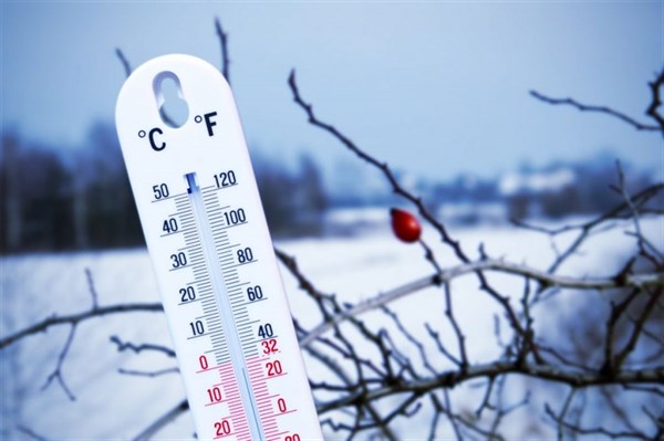В Донецкой области на этой недели потепление. Ожидается до +6  