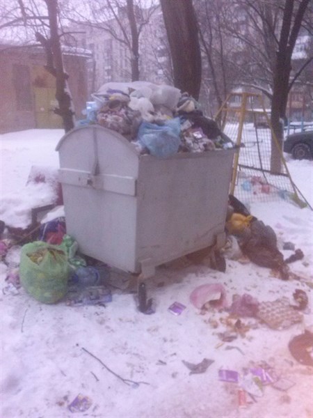 В Горловке не вывозят мусор (ФОТОФАКТ)