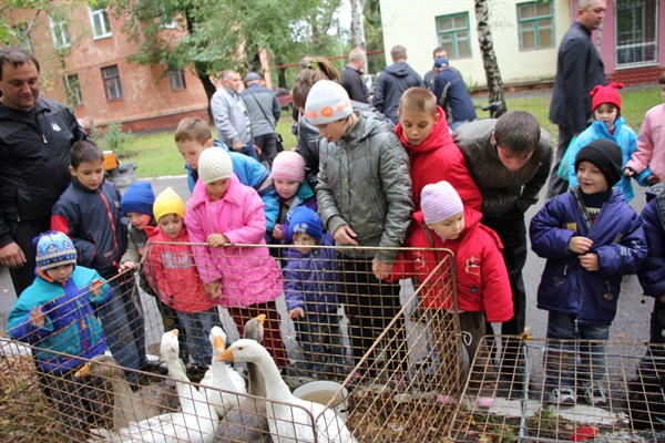 В Горловке на Дне города выставляли напоказ голубей и экзотических птиц. Ребятне понравилось (ФОТОРЕПОРТАЖ)