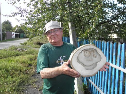 В Горловке пенсионер, распиливая упавший от непогоды орех, обнаружил инопланетянина (ФОТО)