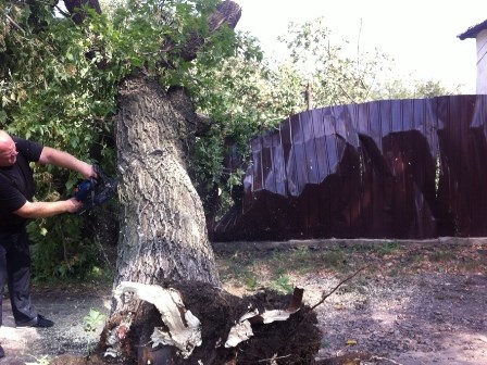 Отголоски пятничной грозы: в Горловке из-за непогоды падали деревья и рвались сети электроснабжения (ФОТО)